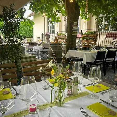 Loewen In Tisis Feldkirch